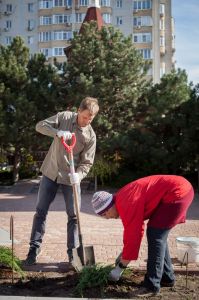 Новые клумбы