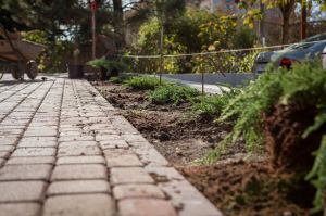 Новые клумбы