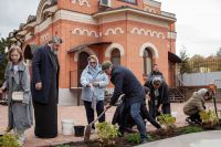 Озеленение прихода