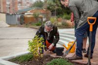 Озеленение прихода