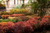 Озеленение прихода