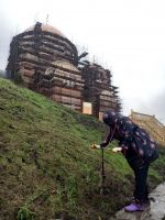 Пополнение коллекции приходских растений