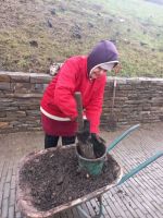 Пополнение коллекции приходских растений