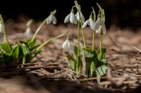 Жизнь жительствует