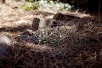 Жизнь жительствует