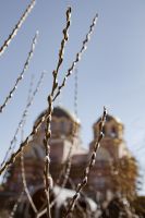 Жизнь жительствует