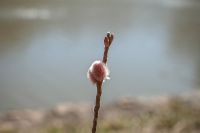 Жизнь жительствует