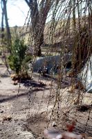 Жизнь жительствует