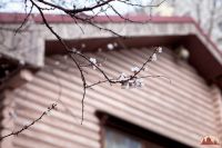 Спешим пригласить вас к нам на прогулку!