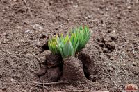 Спешим пригласить вас к нам на прогулку!