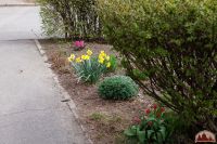 Спешим пригласить вас к нам на прогулку!