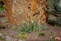 Спешим пригласить вас к нам на прогулку!