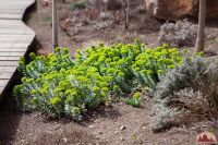 Спешим пригласить вас к нам на прогулку!