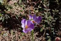 Спешим пригласить вас к нам на прогулку!