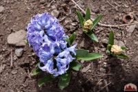 Спешим пригласить вас к нам на прогулку!