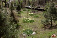 Спешим пригласить вас к нам на прогулку!