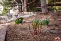 Спешим пригласить вас к нам на прогулку!