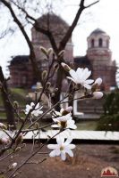 Спешим пригласить вас к нам на прогулку!