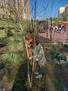 Озеленение Георгиевского парка