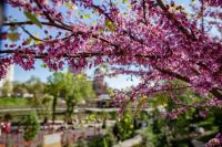 Георгиевский сад