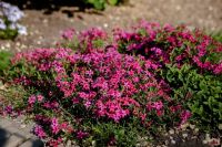 Георгиевский сад