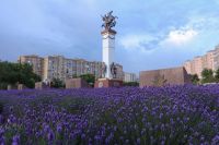 Время лаванды