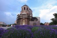 Время лаванды