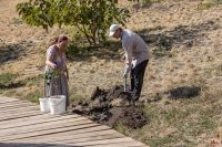 Мы продолжаем пополнять наш сад интересными экземплярами и уникальными коллекциями.