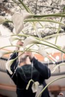 Спасибо за красоту!