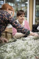 Спасибо за красоту!