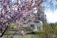 Весна в нашем саду