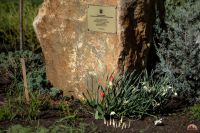 Весна в нашем саду