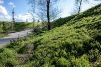 Весна в нашем саду