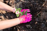 Совсем скоро на нашем приходе появится новая уютная зона отдыха.