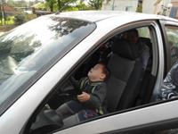 Поездка в Аревик Поездка в Аревик