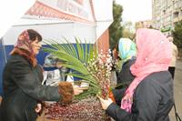 Вход Господень в Иерусалим Вход Господень в Иерусалим