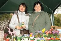 Вход Господень в Иерусалим Вход Господень в Иерусалим