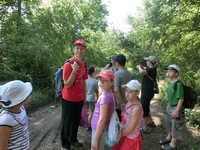 Летняя площадка