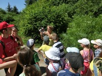 Летняя площадка