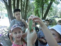 Летняя площадка