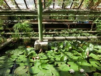 Летняя площадка