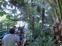 Летняя площадка