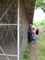 Третий день летней площадки