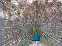 Третий день летней площадки