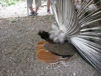 Третий день летней площадки