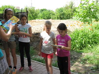 Пятый день летней площадки