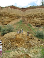 Шестой день летней площадки