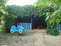 Аревик Аревик