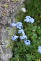 Огненные перевалы