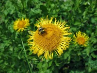 Огненные перевалы